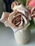 Spiced Coffee rose photo
