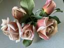 Spiced Coffee rose photo