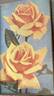 Lady Belper rose photo