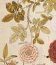 R. damascena rose photo