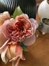Café rose photo