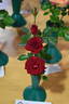 Red Gem rose photo