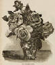 Burbank rose photo