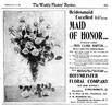Maid of Honor rose photo