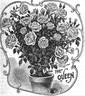 The Queen (Tea, Dingee rose photo
