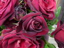 Amarena rose photo