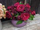 Amarena rose photo