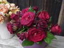 Amarena rose photo