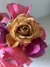 Honey Dijon ™ rose photo