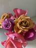 Honey Dijon ™ rose photo