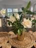 Whisper ™ rose photo