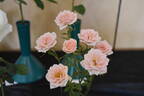 Jean Kenneally rose photo