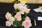 Figurine ™ rose photo