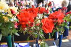Cathedral City rose photo