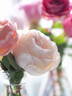Gruaud Larose rose photo