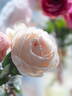 Gruaud Larose rose photo