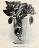 Le Pactole rose photo