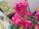 Parade rose photo