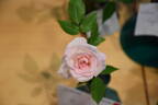 Figurine ™ rose photo