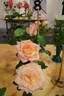Joyfulness rose photo