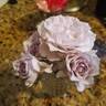 Sweet Arlene rose photo