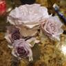 Sweet Arlene rose photo