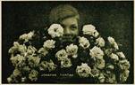Johanna Tantau rose photo