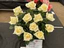 The Wainwright Rose rose photo