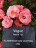 Vogue rose photo