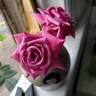 Wistful ™ rose photo