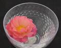 Secret Smile rose photo