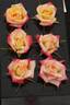 Dancing Flame ™ rose photo