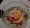 Dancing Flame ™ rose photo