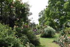 Peter Beales Roses nursery photo