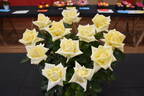 The Wainwright Rose rose photo